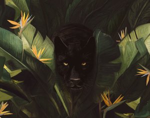 Hello Panther by Florent Bodart