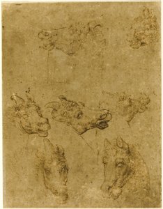 Heads of Horses and Unicorns