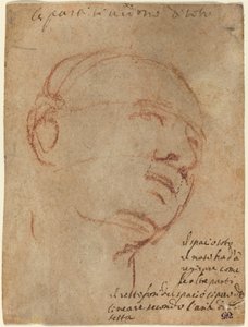Head of a Man by Follower of Michelangelo