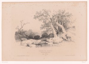 Rocky Landscape with Water and Two Deer Drawing Course with Studies of Landscapes, Animals, and Details (series title) by Fortuné Ferogio