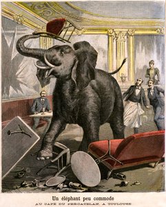 An Uncomfortable Elephant: The Pachyderm Escapes from a Circus Menagerie and Breaks Everything in the Cafe of Pre-Catelan in Toulouse by Fortune Louis and Meyer Henri  Meaulle