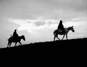 Return to the Country of Fields