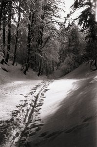 Silence and Mystery