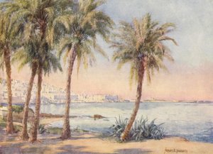 Algiers from the Jardin d