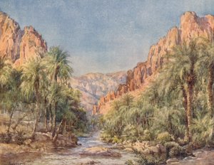 The Gates of the Desert by Frances Nesbitt
