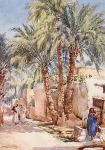 The Palm Village by Frances Nesbitt