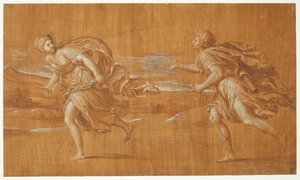Apollo Pursuing Daphne by Francesco Albani