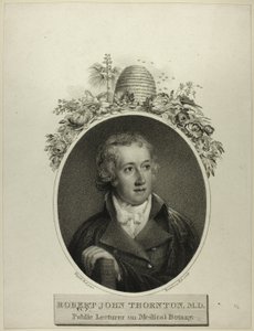 R. J. Thornton by Francesco Bartolozzi
