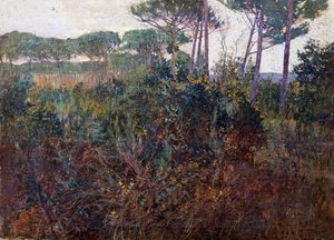 Pinewoods in Torre del Lago by Francesco Fanelli