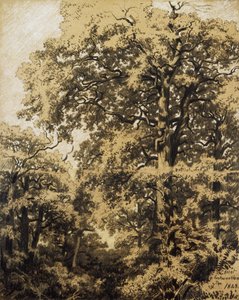 Forest of Fontainebleau
