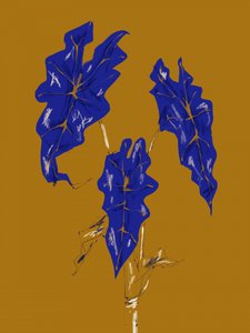 Golden Blue Leaves by Francesco Gulina