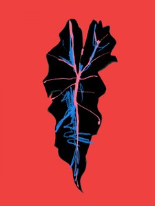 Modern Leaf Veins by Francesco Gulina