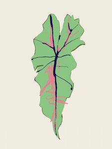 Pink Veined Green Leaf by Francesco Gulina
