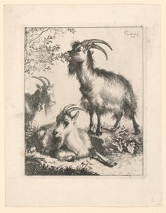 Three Goats