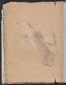 Verona Sketchbook: Left arm and hand (page 46)
