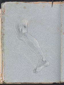 Verona Sketchbook: Left leg (detail)