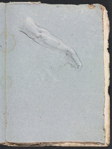 Verona Sketchbook: Right Arm and Hand Page 95