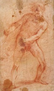 Male Nude Pulling a Net by Francesco Montelatici