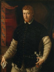 Portrait of a Man by Francesco Salviati