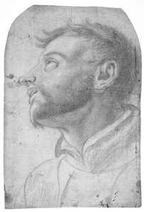Head of a Man Gazing Upwards by Francesco Solimena