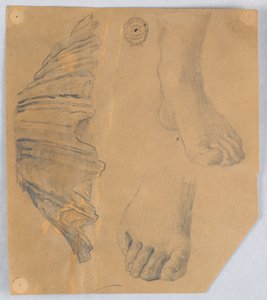 Studies of Feet, and a Fluted Shell by Francis Augustus Lathrop
