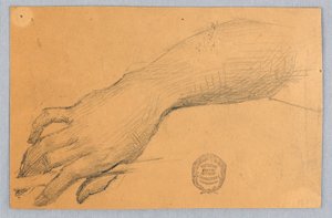 Study of Hand and Wrist by Francis Augustus Lathrop