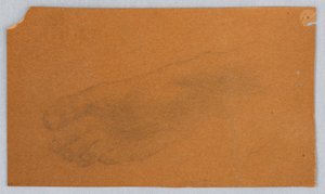 Study of a Foot