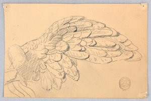 Study of a Wing by Francis Augustus Lathrop