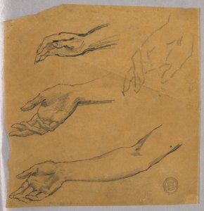 Three Studies of a Hand and Arm