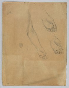 Three Studies of a Left Hand