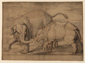 Fight Between an Elephant and Rhinoceros by Francis Barlow