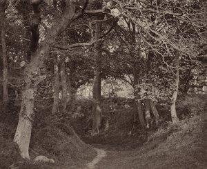 Glen Kenilworth, c. 1868 by Francis Bedford