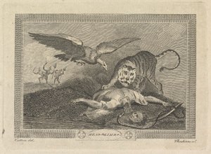 Head and Limbs