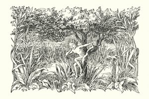 Merrie England: Robin Goodfellow
