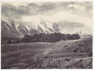 Distant View of the Cedars of Lebanon by Francis Frith