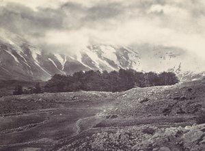 Distant View of the Cedars of Lebanon, ca. 1857 by Francis Frith