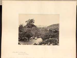 Fountain of Jericho, Healed by Elisha by Francis Frith