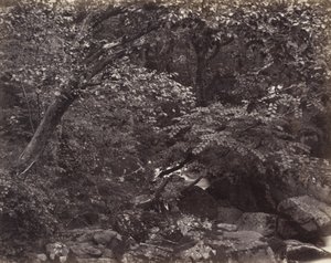 Glen at Lynmouth