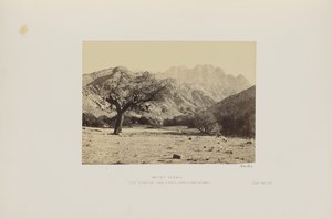 Mount Serbal. The 