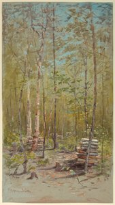 Birch Trees by Francis Hopkinson Smith
