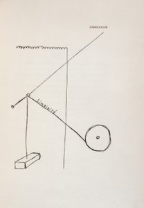 Dragonfly by Francis Picabia