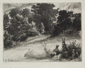 Combe Bottom by Francis Seymour Haden