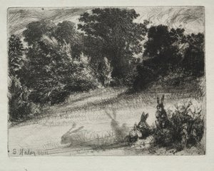 Combe Bottom by Francis Seymour Haden