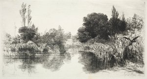 Share Mill Pond