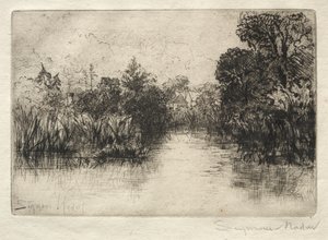 Shere Mill Pond: A Small Study