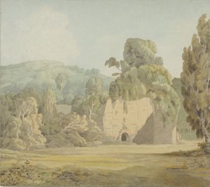 An Ivy Covered Ruin