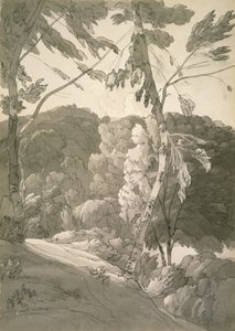 No.1091 A Wooded Landscape (A Scene at Indinowle) 1783