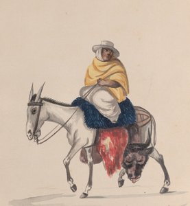 A butcher riding a donkey, from a group of drawings depicting Peruvian costume