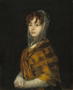 Señora Sabasa Garcia by Francisco de Goya