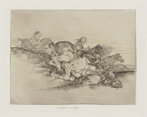 It Always Happens, plate 8 from the series The Disasters of War